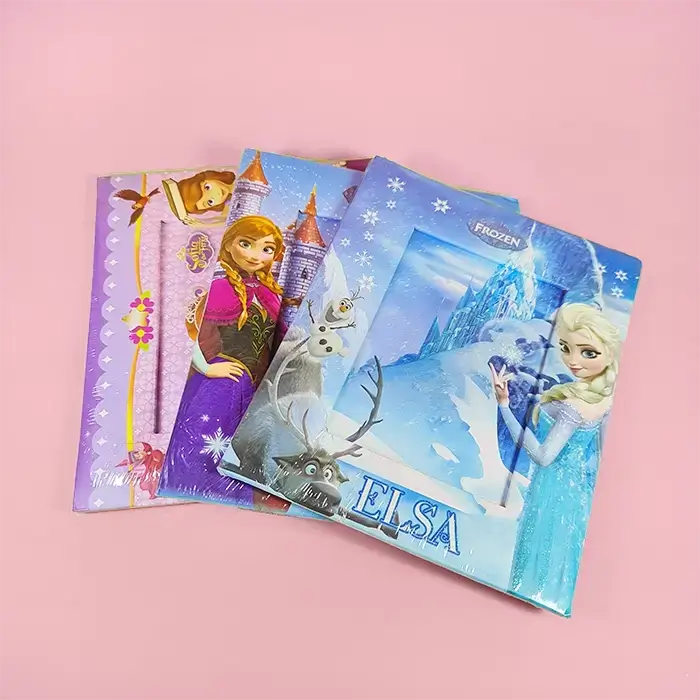 Disney Photo Frame (Frozen, Sofia)