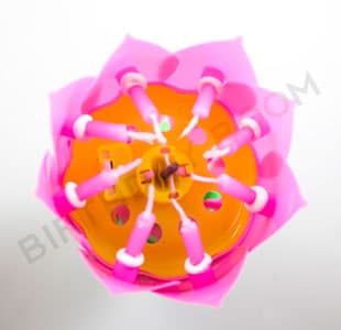 Musical Lotus Candle (Small)