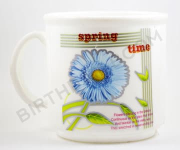 Printed Plastic Mug (White)