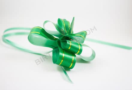 Gift Tie Band (Green)