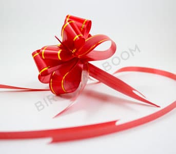 Gift Tie Band (Red)